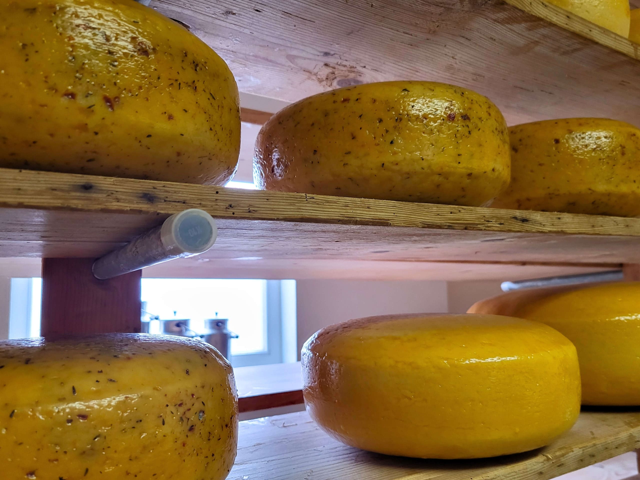 Kaaswielen op de plank