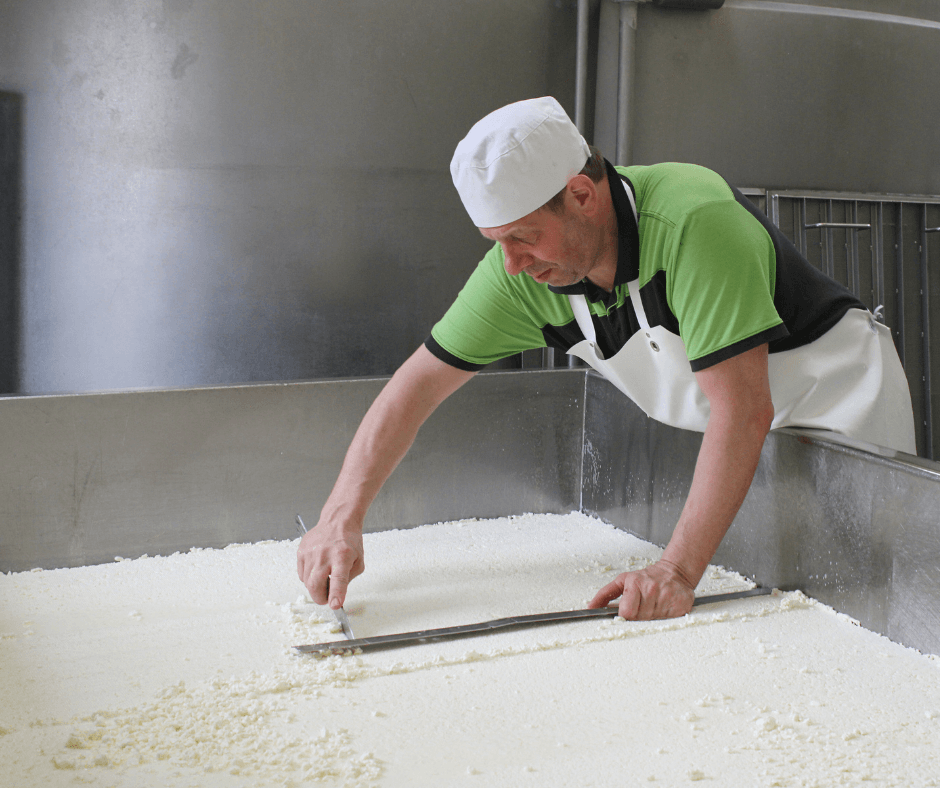 Joris snijdt de kaaswrongel nauwkeurig op lengte en breedte.