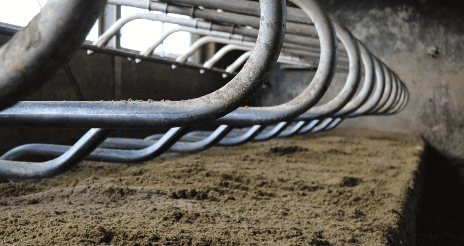 Vers ingestrooide bio-bedding in de ligboxen