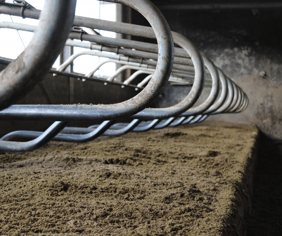 Vers ingestrooide bio-bedding in de ligboxen