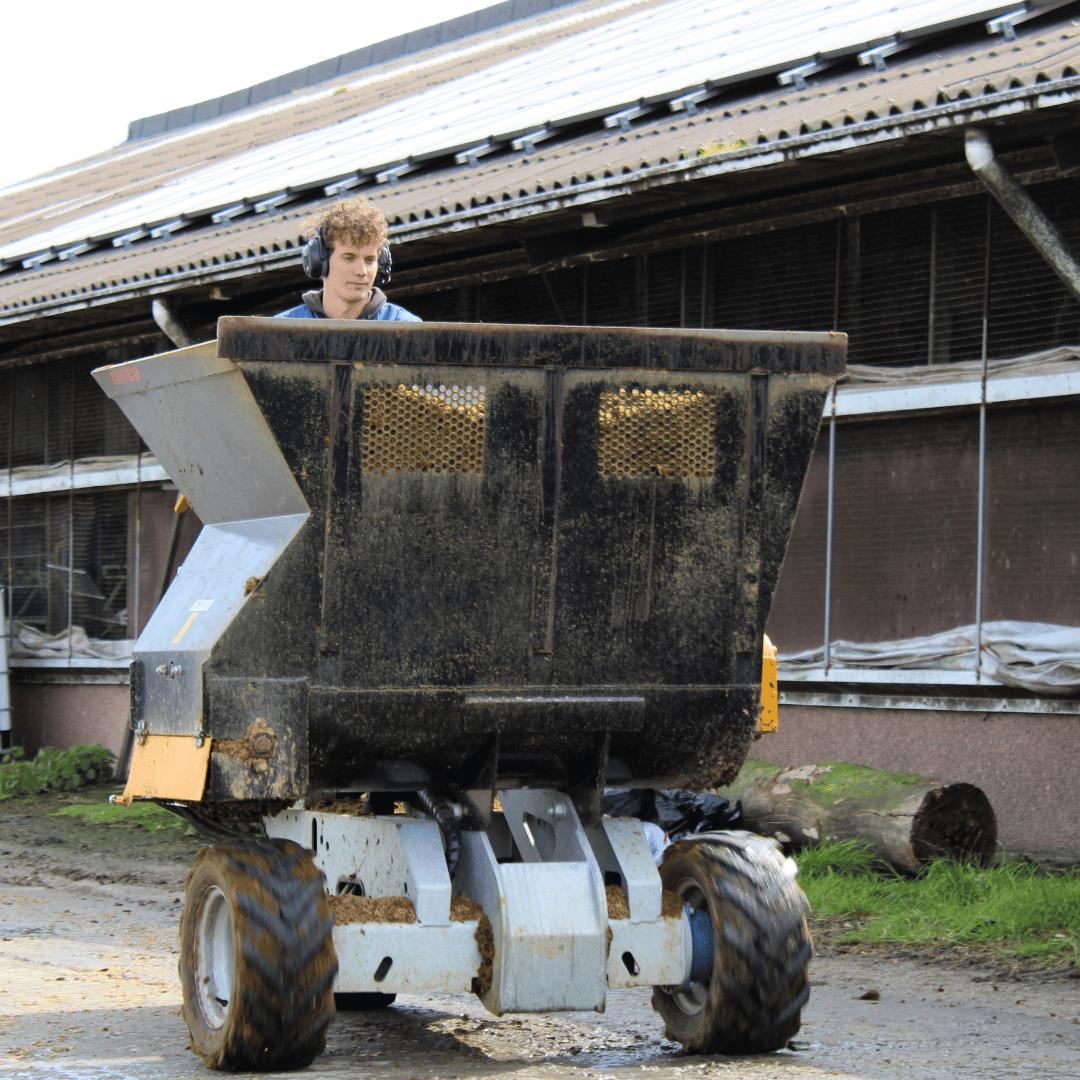 Met de instrooier vol met diepstrooisel is Piter Gerben onderweg naar de ligboxen