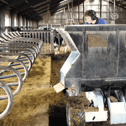 Piter Gerben strooit de ligboxen in met diepstrooisel vanaf de instrooiwagen.