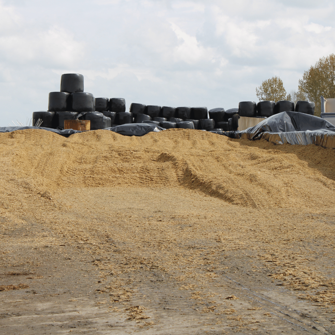 Rantsoenbult voor de koeien, deels op