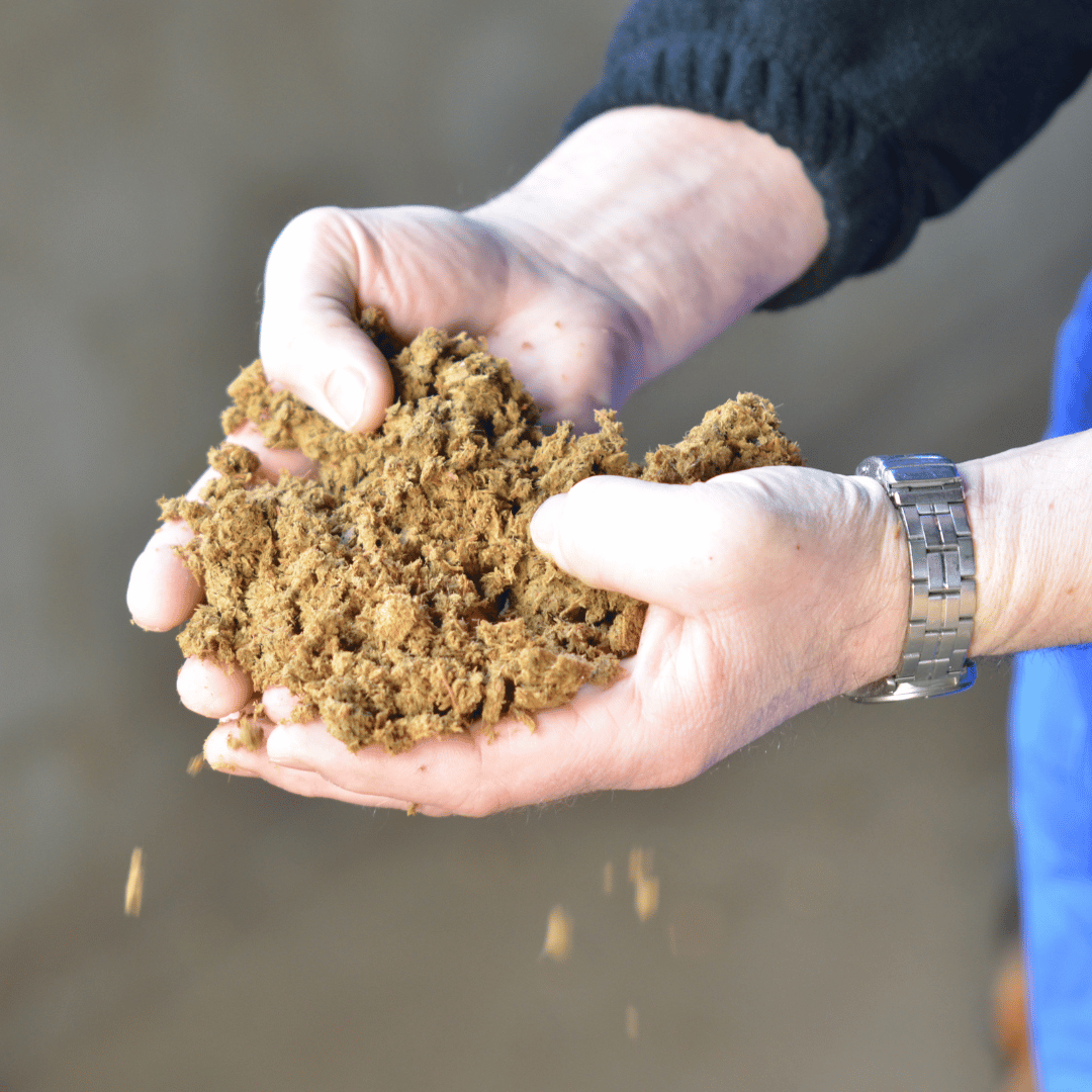 Veehouder met dikke fractie in zijn handen