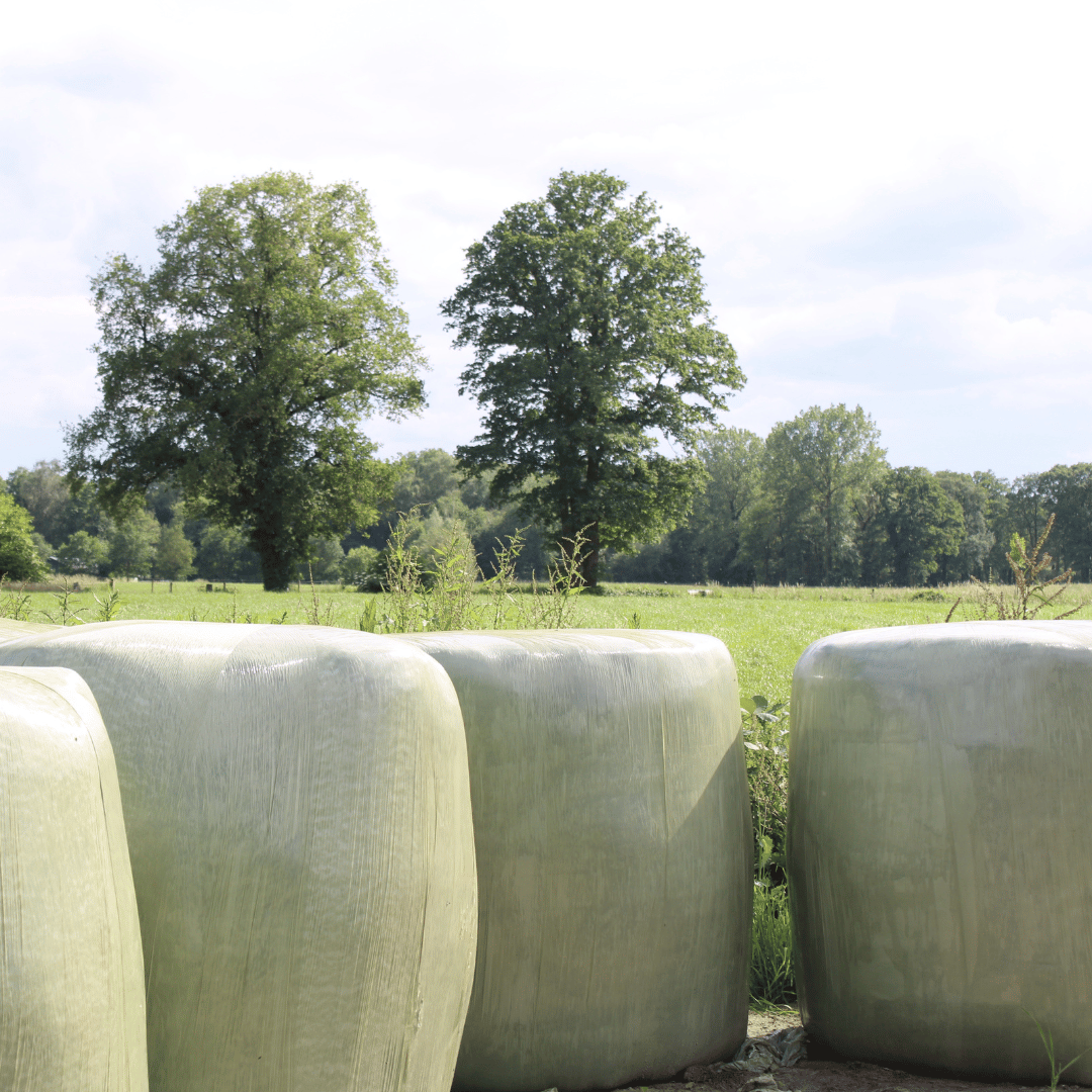 De landelijke omgeving van Twekkelo met hooibalen op de voorgrond