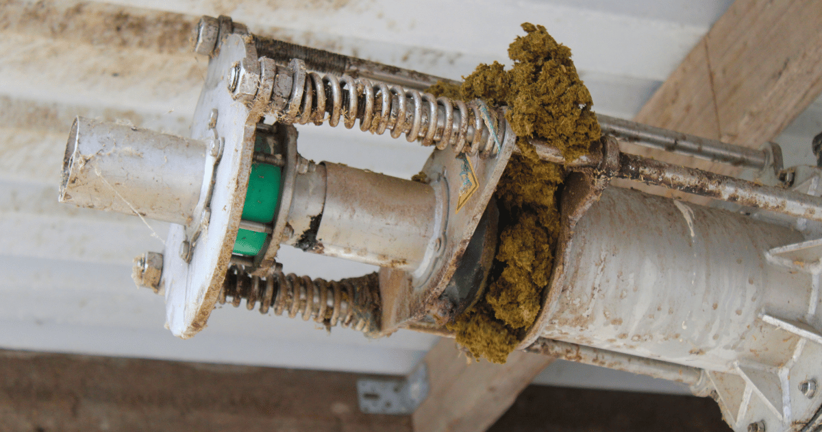 Uiteinde van de schroef met dikke fractie wat bijna uit de mestscheider valt