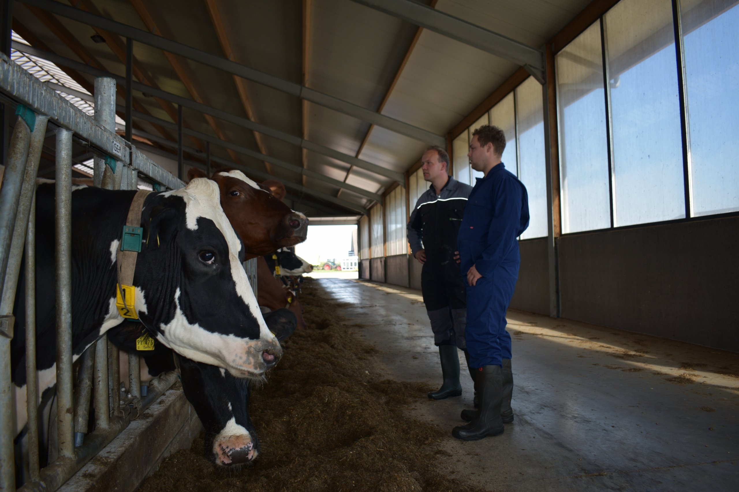 De meest voorkomende vooroordelen over biobedding
