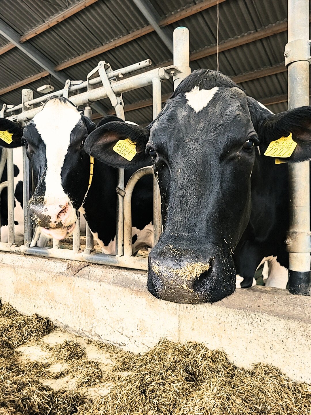 Waarom mest mixen boer Arne nu een glimlach bezorgt