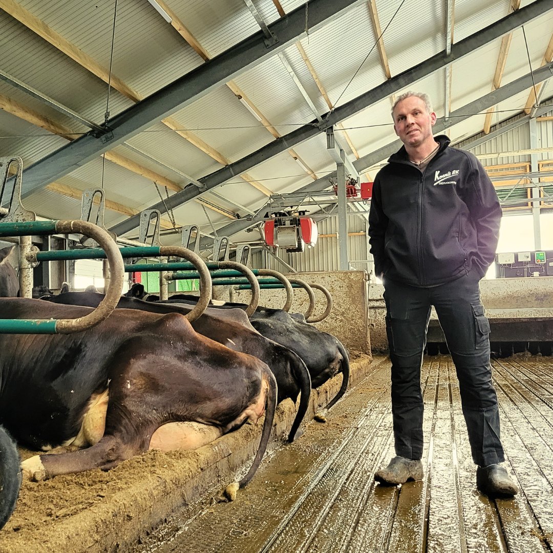 Zo helpt Mark zijn melkveebedrijf ternauwernood op de weg vooruit