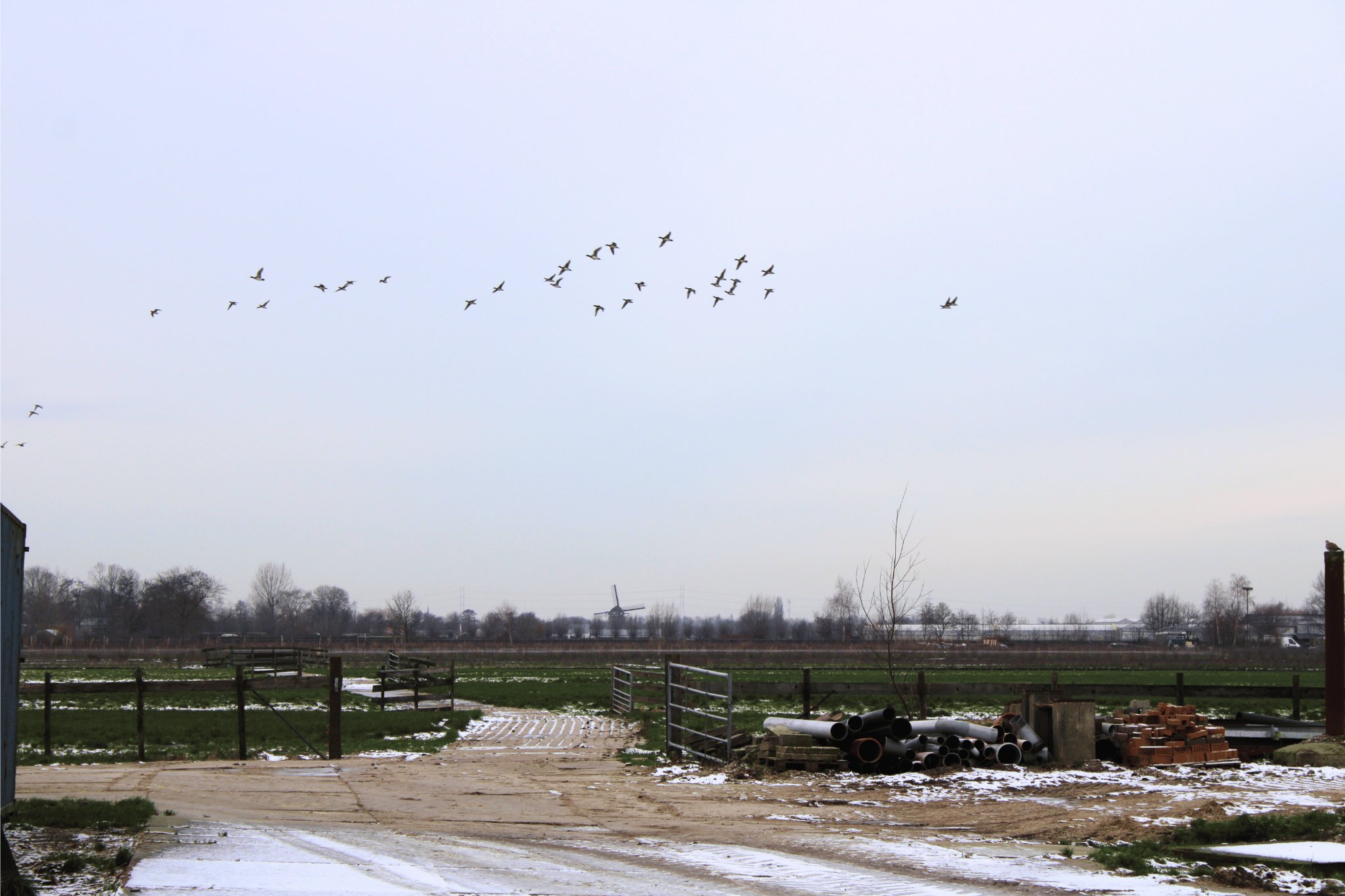 Wat motiveert deze Zuid-Hollandse veehouder al 10 jaar voor gescheiden mest?