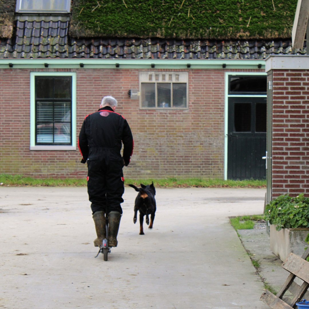 Zo helpt Mark zijn melkveebedrijf ternauwernood op de weg vooruit