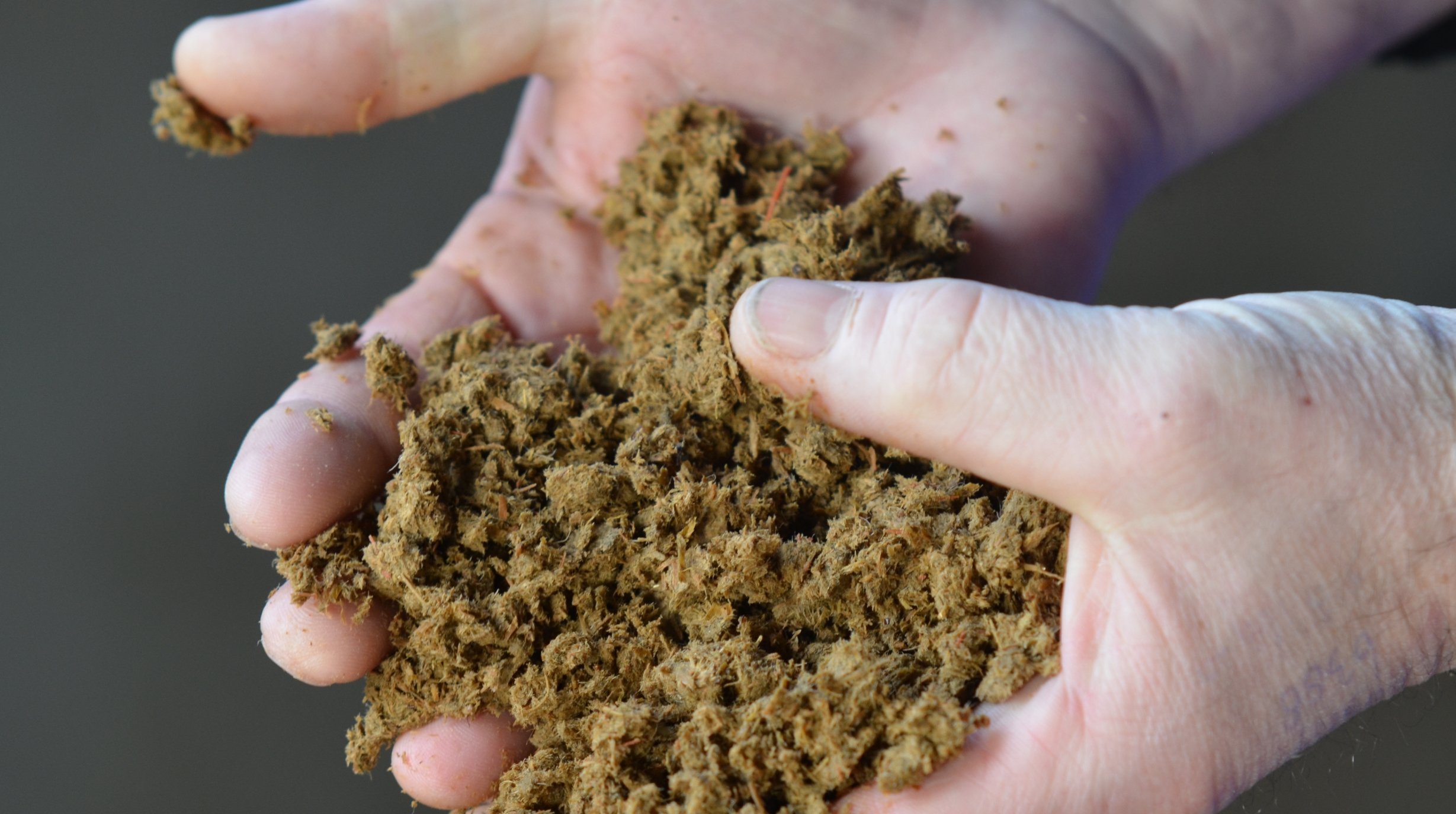 De meest voorkomende vooroordelen over biobedding