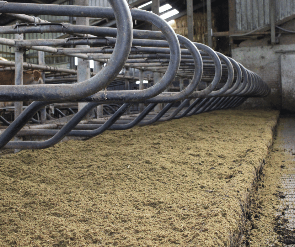 Pas ingestrooide ligboxen op maatschap Schotanus - Van Vilsteren in Haule