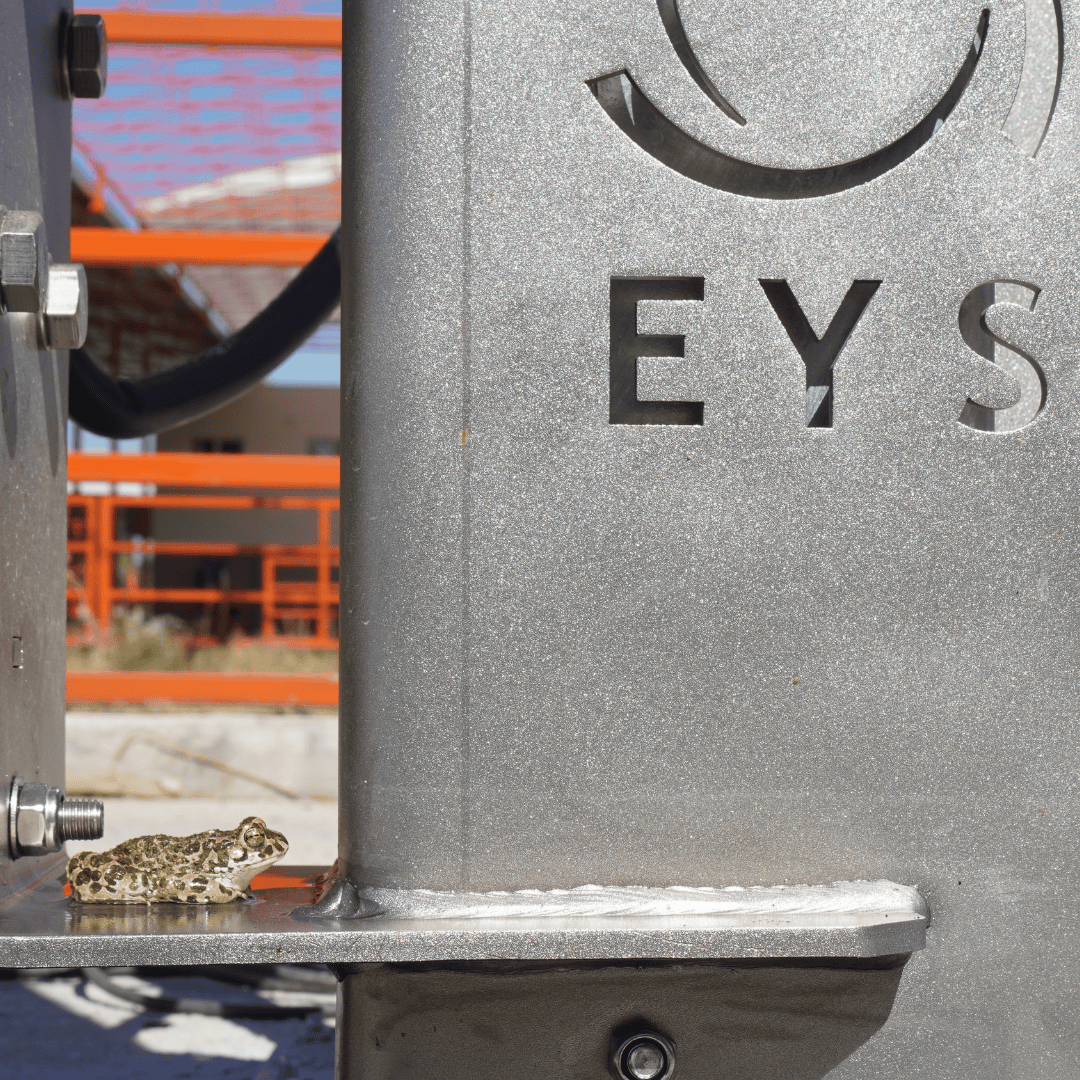 Robuuste dompelmixers van EYS Metal, vervaardigd met RVS