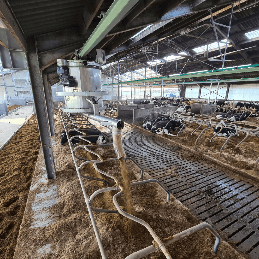 Instrooisysteem in bedrijf tijdens het vullen van ligboxen met bio-bedding